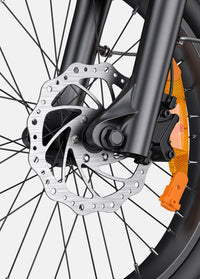 ENGWE L20 3.0 Pro - Zwart – Comfortabele e-bike met lage instap
