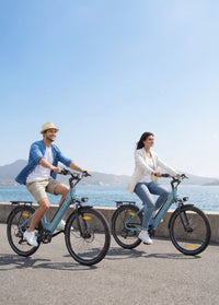 ENGWE P275 SE – Elektrische Stadsfiets 250W | 80 km Actieradius