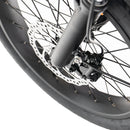 ENGWE LE20 – Longtail – Enkele Accu – 250Wh – Lage Instap