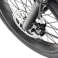 ENGWE LE20 – Longtail – Enkele Accu – 250Wh – Lage Instap