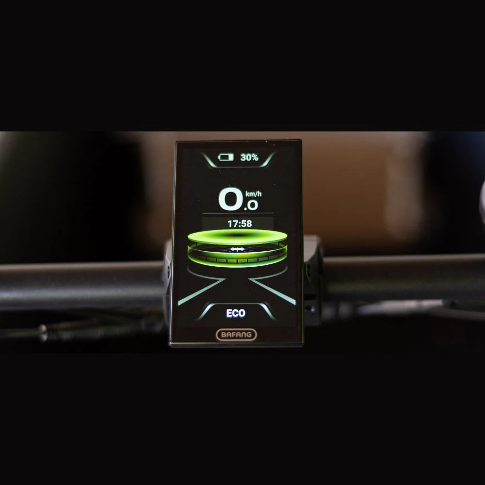 Royal Cargo - 3W Premium - Groen  - Elektrische Bakfiets - 504Wh