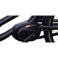 Royal Cargo - 3W Premium - Groen  - Elektrische Bakfiets - 504Wh