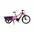 Yuba - Spicy Curry - Longtail - 500 Wh -
