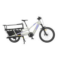 Yuba - Spicy Curry POW - Elektrische Longtail -