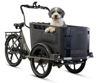 Van Rixtel Dog - Graphite - Elektrische Driewieler Hondenbakfiets - 540 Wh