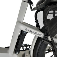 Vogue Avalanche - Elektrische Longtail - Mat Grijs