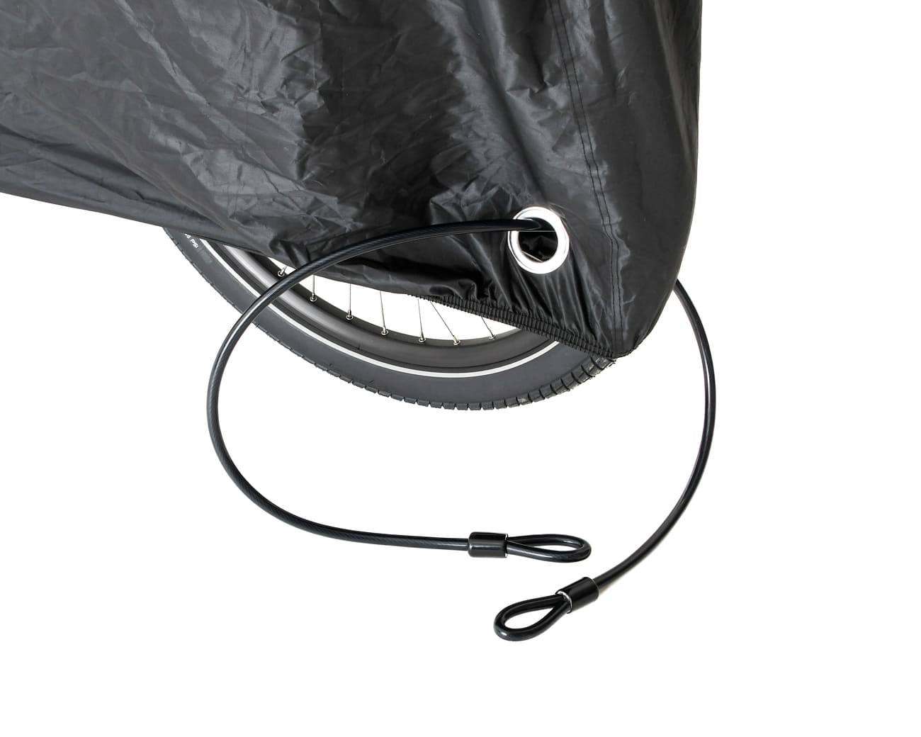 Longtail Cover
