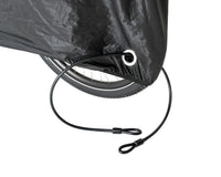 Longtail Cover