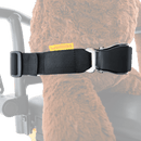 Safety Belt