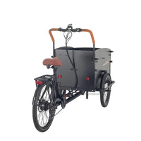 aitour-cargo-bike-starter-back
