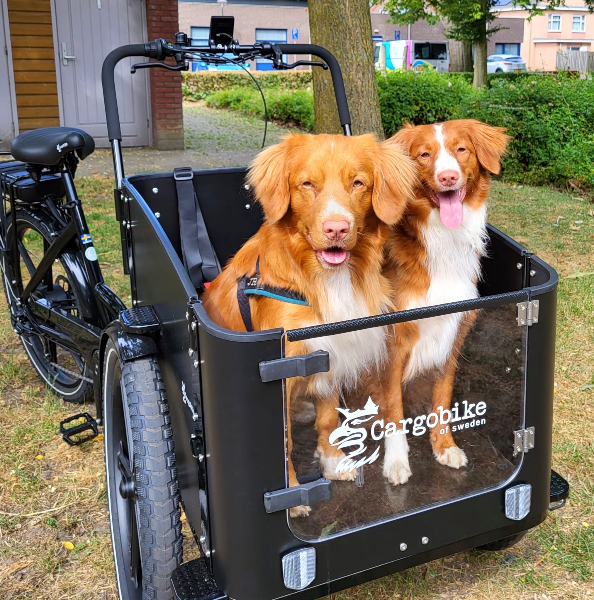 Cargobike of sweden Dog flex