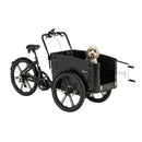 cargobike-delight-dog (4)