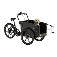 cargobike-delight-dog (4)