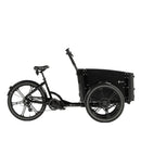 cargobike-delight-dog (6)