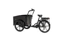 cargobike-flex (3)