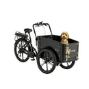 cargobike-flex-dog (3)