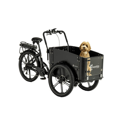 cargobike-flex-dog (3)