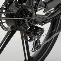 Cargobike of Sweden - Flex Dog - Elektrische Hondenbakfiets