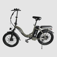 WIndgoo - E20 - Grijs - Vouwfiets