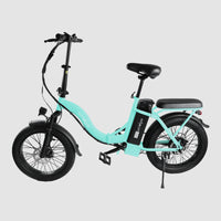 WIndgoo - E20 - Lichtgroen - Vouwfiets