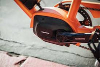 Yuba - Kombi E5 - Oranje - Longtail