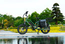 JOBOBIKE - Transer - Longtail - 250Wh