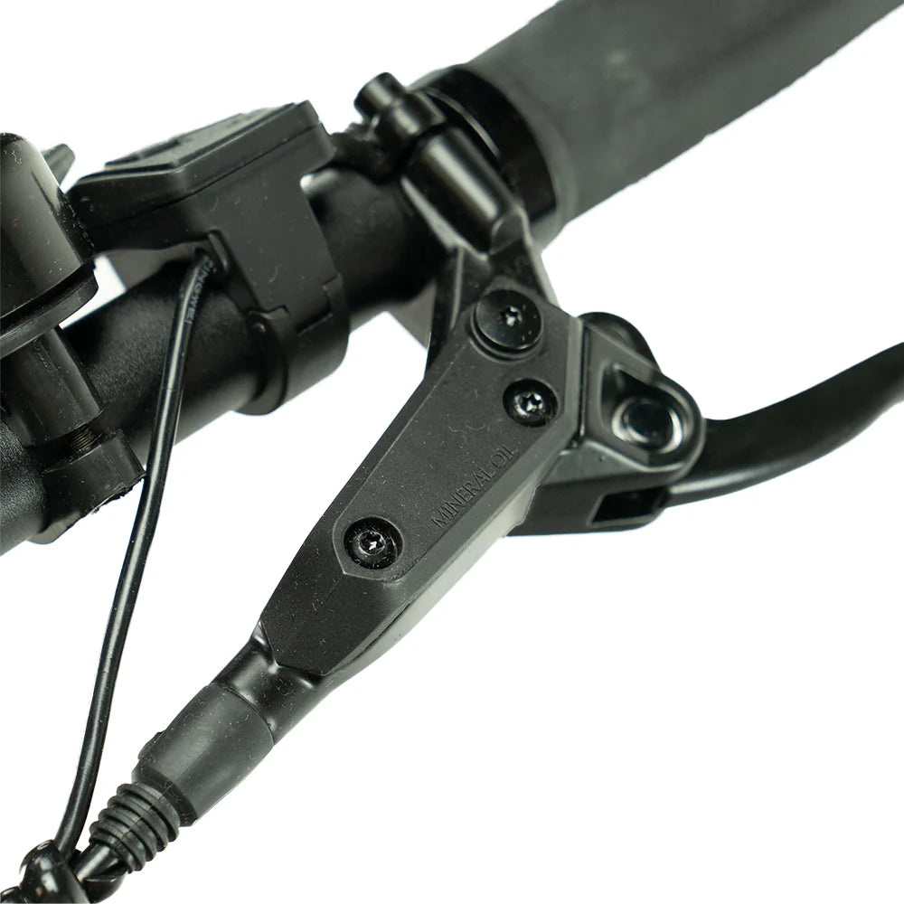 ENGWE LE20 – Longtail – Enkele Accu – 250Wh – Lage Instap