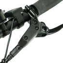 ENGWE LE20 – Longtail – Enkele Accu – 250Wh – Lage Instap