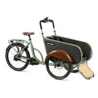 socibike-compact-bleekgroen-schuin-klep-open