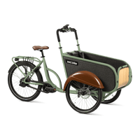 SociBike Compact Bleek Groen
