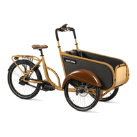 SociBike Compact Geel Elektrische Bakfiets