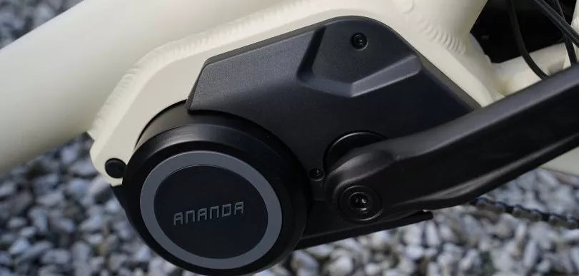 Van Rixtel - Urban Plus - Mat - Elektrische Bakfiets - Middenmotor - 450 Wh